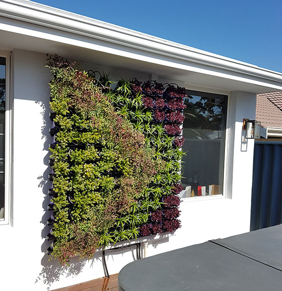 residential vertical garden after completion