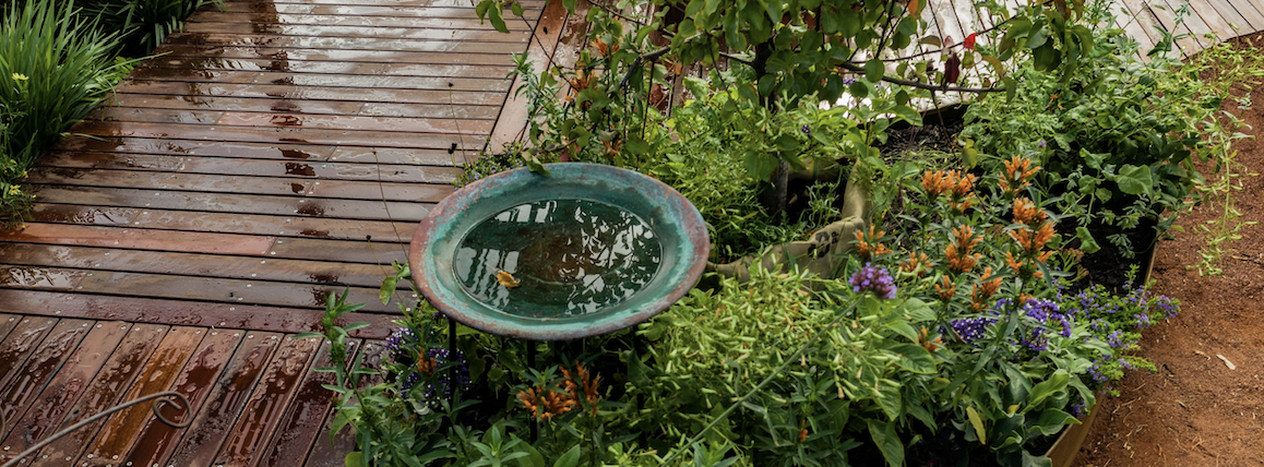 A well thought out garden showing plenty of context and texture.